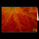 Red Maple Leaf Card