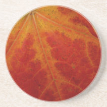 Red Maple Leaf Coaster