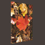 Red Maple Leaf canvas prints