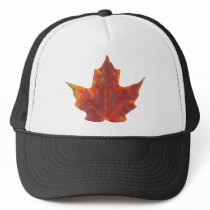Red Maple Leaf hats by boldhumor Red Maple Leaf hats
