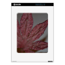 Red Maple Leaf iPad Skin