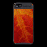 Red Maple Leaf iPhone 5 Case