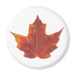 Red Maple Leaf Magnet