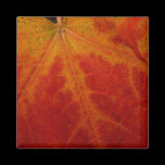 Red Maple Leaf Magnet