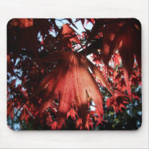Red Maple Leaf mousepads