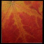 Red Maple Leaf Napkins