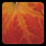 Red Maple Leaf Square Sticker
