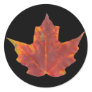 Red Maple Leaf Sticker