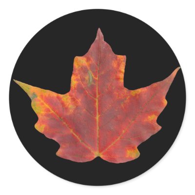 Red Maple Leaf Sticker by boldhumor