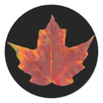 Red Maple Leaf stickers