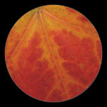 Red Maple Leaf Sticker
