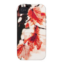 red maple leaves autumn iphone case Case-Mate iPhone 4 cases