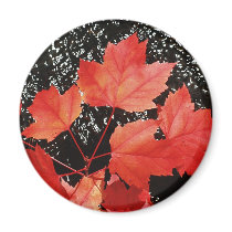 Red Maple Leaves magnets by FallSeason Red Maple Leaves magnets