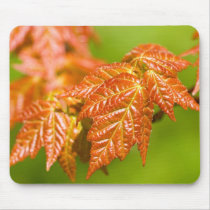 Red Maple Leaves mousepads by mlane53 Red Maple Leaves mousepads