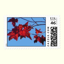 Red Maple Leaves postage by MoiraAshleigh Red Maple Leaves postage