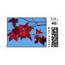Red Maple Leaves postage
