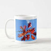Red maple leaves with various shades of yellow coffee mug
