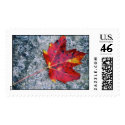 Red Maple postage by cmiper Red Maple postage