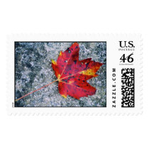 Red Maple postage by cmiper Red Maple postage