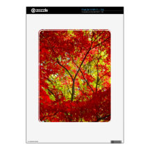 Red Maple Skin For The iPad