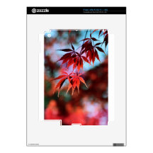 Red Maple Skin For The iPad 2