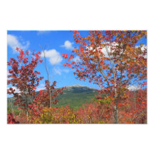 Red Maples below Mount Monadnock Photograph