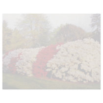 Red Mass of azalea bushes beautifies grounds flowe Letterhead