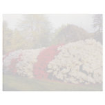 Red Mass of azalea bushes beautifies grounds flowe Letterhead