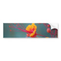Red Mexican Bird of Paradise bumper stickers
