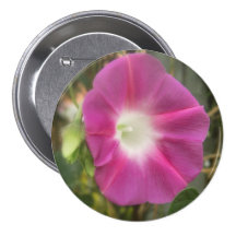 Red Morning Glory Flower Buttons