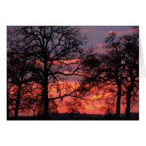 Red Morning Sky Greeting Card cards