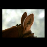 Red Mule Ears Poster posters