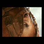Red Mule - Eye Poster posters