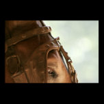 Red Mule - Eye posters