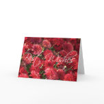 Red Mums - Best Wishes Greeting Cards