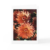 Red Mums cards