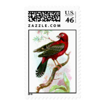 Red Munia Postage Stamp