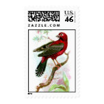 Red Munia postage