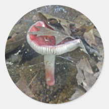 Red Mushroom &  Sheet Web Stickers