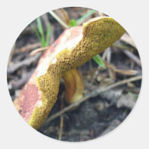 Red mushroom with yellow gills stickers