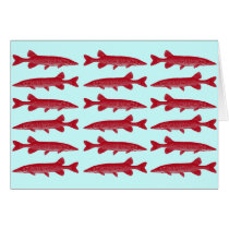 Red Muskie Card