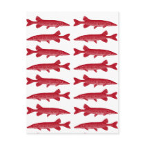 Red Muskie Postcard