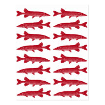 Red Muskie Postcard