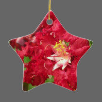 Red Myrtle Star Ornament-Customizable ornaments
