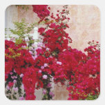 Red Naoussa, Greece flowers Stickers