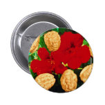 Red Nasturtium seeds (Tropaeolum majus) flowers Pins