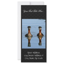 Red-necked Grebe Pair Customized Rack Card
