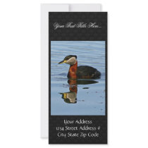 Red-necked Grebe Custom Rack Card