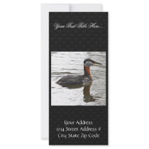 Red-necked Grebe Customized Rack Card