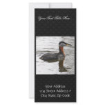 Red-necked Grebe Customized Rack Card